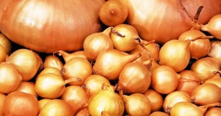 Каким образом замачивать лук перед посадкой