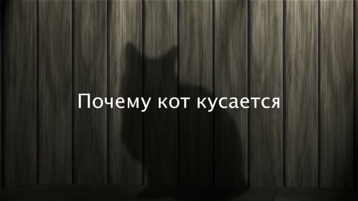 Почему кот кусается
