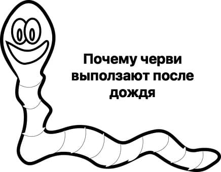 Почему черви выползают после дождя